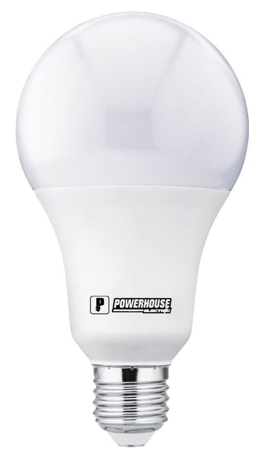 LED Classic Bulb Daylight 20W