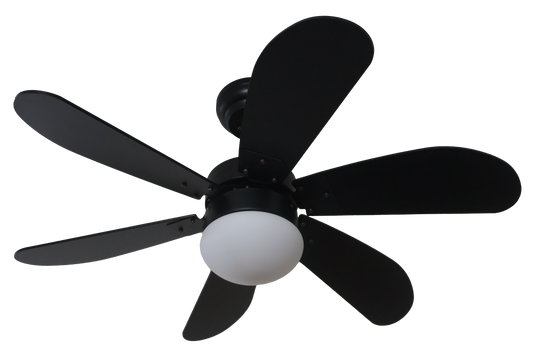 Ceiling Fan