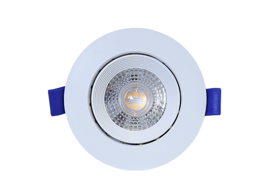 LED Spotlight w/ Casing Round Daylight 6W