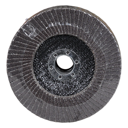 Abrasive Flap Disc 100 (PH-FLDC-1000 A-100)