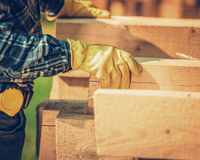 Top 9 Wood Types for Construction Use in the Philippines