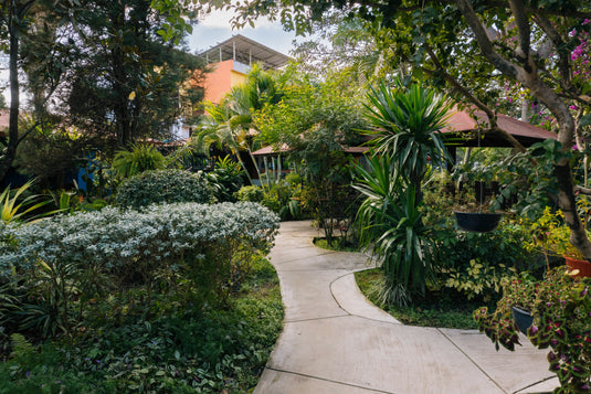 Landscaping Plants to Beautify Your Home’s Front Yard in the Philippines (And The Tools You Need)