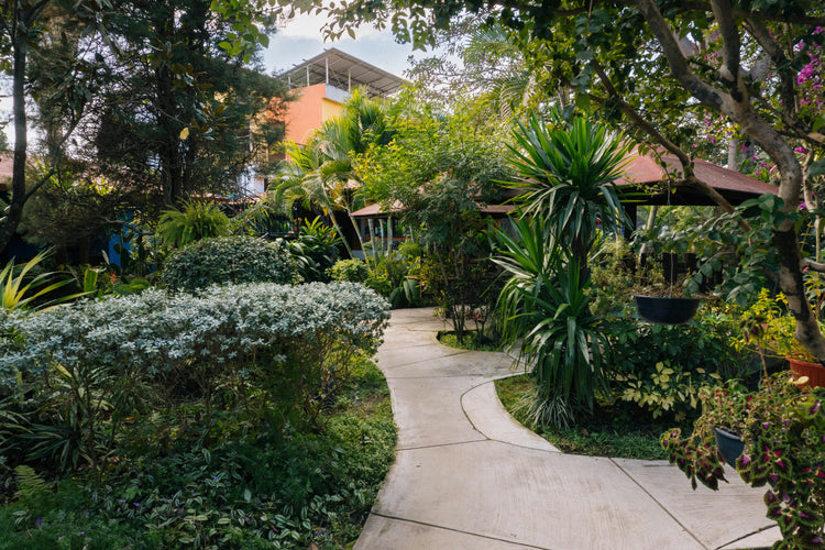 Landscaping Plants to Beautify Your Home’s Front Yard in the Philippines (And The Tools You Need)