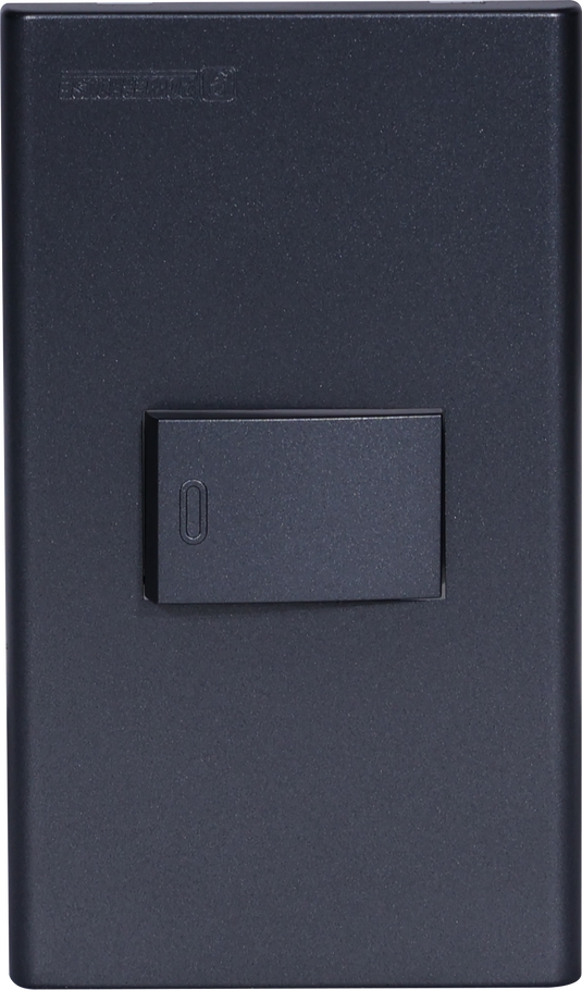 1 Gang Plate w/ One Way Switch - Gray