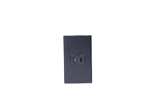 1 Gang Plate w/ USB+USB-C Outlet Gray