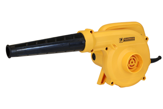 Electric Blower 700W