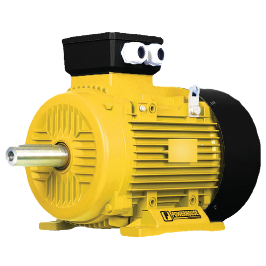 Powerhouse Single Phase Electric Motor Dual Capacitor