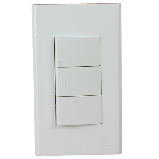 Switches with Plate Set – Powerhouse Tools